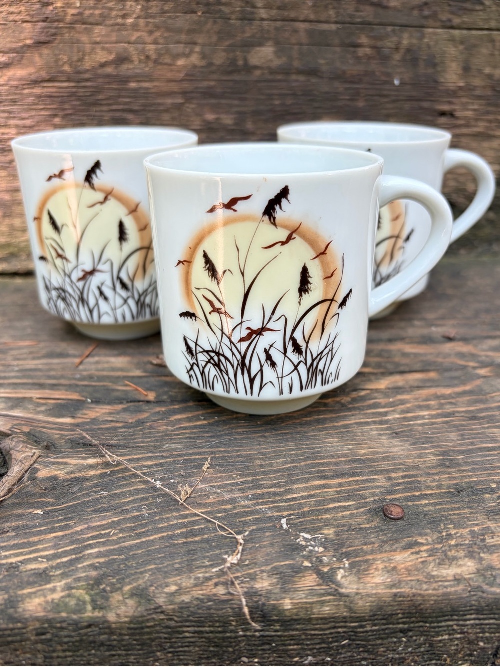 Vintage Sunset by Gailstyn White Ceramic Mugs with Sunset Reed Print - Set of 3